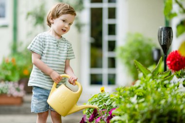 Yaz günü arka bahçede çiçek tarlalarını sulayan tatlı bir çocuk. Çocuk bitkileri sulamak için teneke kullanıyor. Çocuk günlük ev işlerine yardım ediyor. Annesinin küçük yardımcısı..