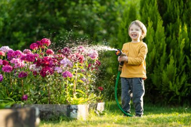 Yaz günü bahçede çiçek tarhlarını sulayan tatlı bir çocuk. Çocuk sebzeleri sulamak için bahçe hortumu kullanıyor. Çocuk günlük ev işlerine yardım ediyor. Annesinin küçük yardımcısı..