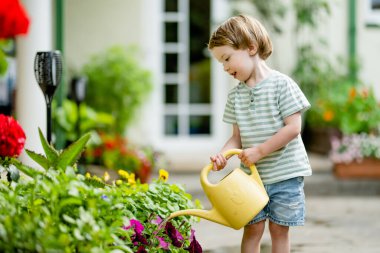 Yaz günü arka bahçede çiçek tarlalarını sulayan tatlı bir çocuk. Çocuk bitkileri sulamak için teneke kullanıyor. Çocuk günlük ev işlerine yardım ediyor. Annesinin küçük yardımcısı..