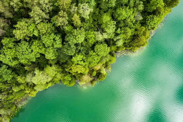 Verkiai Bölgesel Parkı 'ndaki altı Yeşil Gölden biri olan güzel Balsys Gölü' nün hava manzarası. Çam ormanlarıyla çevrili zümrüt göl manzaralı kuş bakışı. Vilnius şehri, Litvanya.