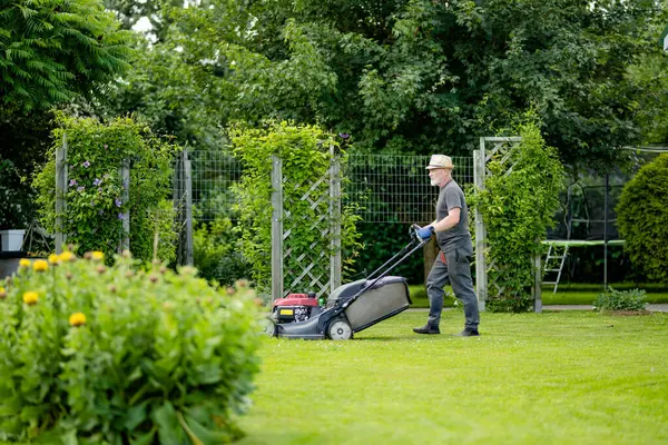 中年男性は 裏庭に電気またはガソリン芝刈り機で草を刈っています ガーデニングケアツールや設備 芝刈り機による芝刈り処理 ロイヤリティフリーのストック画像