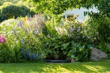 Small artificial pond on sunny summer day in the garden. Beautifully designed garden pond surrounded with various plants and flowers.