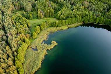 Litvanya 'nın Trakai kentindeki su merkezli turistler, dalgıçlar ve tatilciler arasında en popüler göllerden biri olan Galve Gölü' nün güzel hava manzarası.
