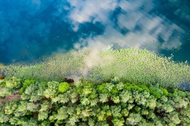 Sciuro Ragas yarımadasının manzaralı manzarası, Beyaz Lakajai ve Siyah Lakajai göllerini ayırır. Labanoras Bölgesel Parkı 'ndaki göllerin ve ormanların resimli manzarası. Litvanya 'nın doğal güzelliği.