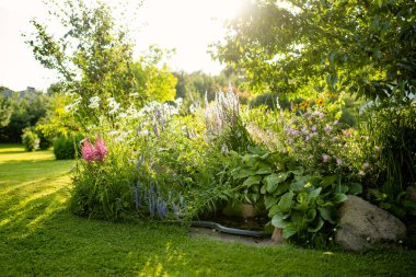 Small artificial pond on sunny summer day in the garden. Beautifully designed garden pond surrounded with various plants and flowers.