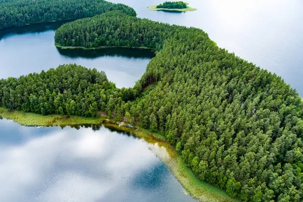 Sciuro Ragas yarımadasının manzaralı manzarası, Beyaz Lakajai ve Siyah Lakajai göllerini ayırır. Labanoras Bölgesel Parkı 'ndaki göllerin ve ormanların resimli manzarası. Litvanya 'nın doğal güzelliği.
