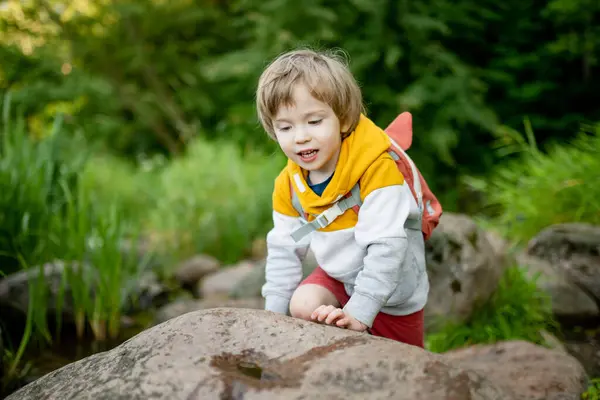 Милий Маленький Хлопчик Рюкзаком Розважається Свіжому Повітрі Сонячний Літній День Ліцензійні Стокові Зображення