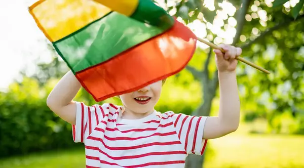 Милий Маленький Хлопчик Триколірний Прапор Литви День Державності Литви Вільнюс Стокове Фото