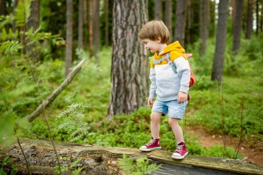 Sırt çantalı şirin bir çocuk güneşli bir yaz gününde dışarıda eğleniyor. Doğayı keşfeden çocuk. Çocuk seyahate çıkıyor. Çocuklu aileler için yaz etkinlikleri.