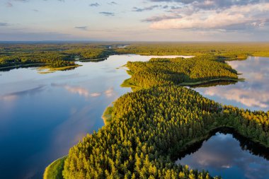 Scenic aerial view of Sciuro Ragas peninsula, separating White Lakajai and Black Lakajai lakes. Picturesque landscape of lakes and forests of Labanoras Regional Park. Natural beauty of Lithuania. clipart
