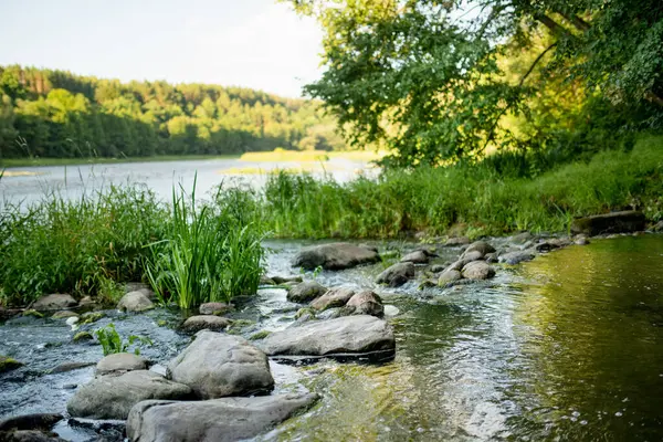 Saide Stream Falling Neris River Neris Regional Park Vilnius Sunny — Stock Photo, Image