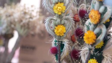 Vilnius 'taki Paskalya pazarında Kaziukas' ta satılan verbolar olarak bilinen geleneksel Litvanya Paskalya palmiyeleri. Litvanya başkentleri geleneksel el sanatları fuarı her Mart Old Town sokaklarında düzenleniyor.