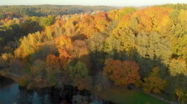 Turuncu ve sarı sonbahar yapraklı ağaçlarla dolu renkli şehir parkının havadan görünüşü. Litvanya, Vilnius 'ta sonbahar şehir parkı manzarası.