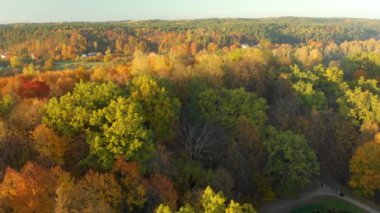 Turuncu ve sarı sonbahar yapraklı ağaçlarla dolu renkli şehir parkının havadan görünüşü. Litvanya, Vilnius 'ta sonbahar şehir parkı manzarası.