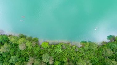 Tropikal göl kıyısında uçan kanoların yukarıdan aşağı görüntüsü. Çam ormanlarıyla çevrili manzaralı zümrüt göl.