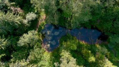 Saula Blue Springs veya Saula Siniallikad. Doğal ve kültürel miras alanı. İyileştirici gücü olan mavi rengin kurban baharı olduğuna inanılıyor. Saula Köyü, Kose Parish, Harju İlçesi, Estonya.