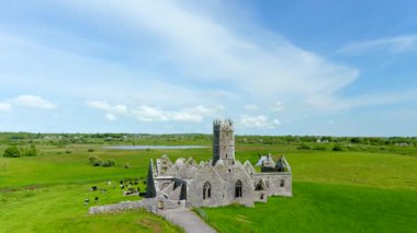 Ross Errilly Friary veya Mainistir an Rois veya Rosserelly. Headford, Co. Galway yakınlarındaki Ortaçağ Fransisken keşişi. En iyi korunmuş manastır alanlarından biri ve İrlanda Ulusal Anıtı.