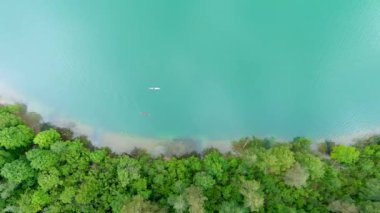 Balsys gölü kıyısında uçan kanoların yukarıdan aşağı görüntüsü, Verkiai Bölgesel Parkı 'ndaki altı güzel gölden biri. Çam ormanlarıyla çevrili manzaralı zümrüt göl. Vilnius şehri, Litvanya.