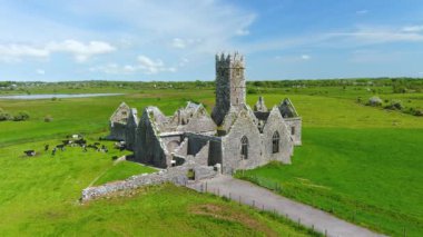 Ross Errilly Friary veya Mainistir an Rois veya Rosserelly. Headford, Co. Galway yakınlarındaki Ortaçağ Fransisken keşişi. En iyi korunmuş manastır alanlarından biri ve İrlanda Ulusal Anıtı.
