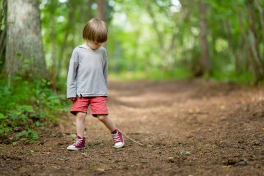 Küçük çocuk, Estonya 'nın güzel çam ve yaprak döken ormanlarını keşfediyor. Baltık doğasının güzelliği.