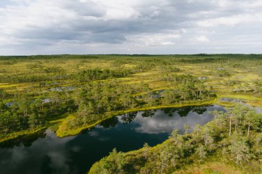 Estonya 'nın Jarva ilçesinde yer alan çam ağaçları, çukurlar ve havuzlarla kaplı Seli Bataklığı' nın hava manzarası. Eşsiz sulak arazi ekosistemi çeşitli vahşi yaşamı destekler ve eşsiz bitki ve hayvanlara ev sahipliği yapar..