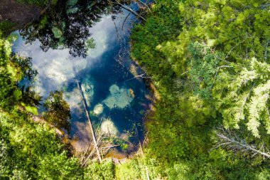 Saula Blue Springs ya da Saula Siniallikad, doğal ve kültürel miras alanı. İyileştirici gücü olan mavi rengin kurban baharı olduğuna inanılıyor. Saula köyü, Kose bölgesi, Harju ilçesi, Estonya.