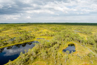 Estonya 'nın Jarva ilçesinde yer alan çam ağaçları, çukurlar ve havuzlarla kaplı Seli Bataklığı' nın hava manzarası. Eşsiz sulak arazi ekosistemi çeşitli vahşi yaşamı destekler ve eşsiz bitki ve hayvanlara ev sahipliği yapar..
