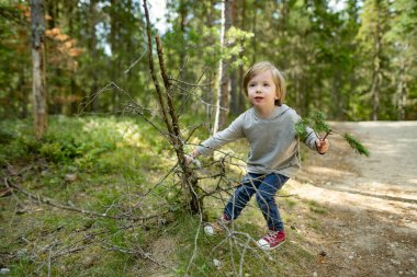 Küçük çocuk, Estonya 'nın güzel çam ve yaprak döken ormanlarını keşfediyor. Baltık doğasının güzelliği.