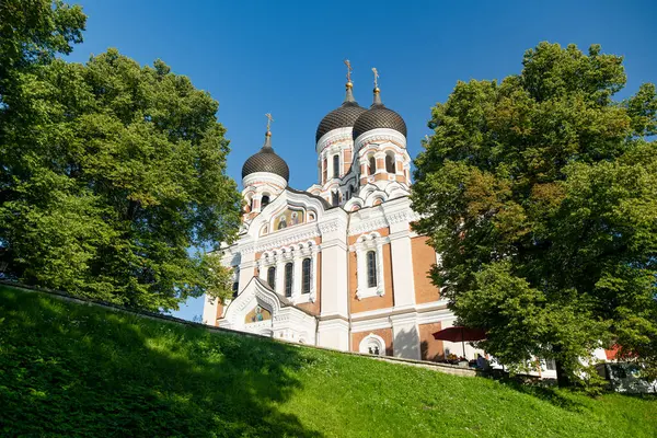 stock image Alexander Nevsky Cathedral in Tallinn Old Town on a sunny summer morning. UNESCO World Heritage site, Estonia.