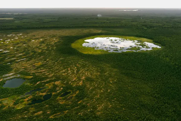 stock image Aerial view of Seli Bog, dotted with pine trees, hollows and pools, located in Jarva county, Estonia. Unique wetland ecosystem supports diverse wildlife and is a home to unique plants and animals.