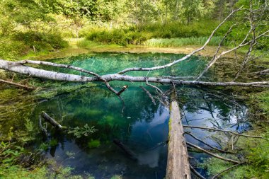 Saula Blue Springs ya da Saula Siniallikad, doğal ve kültürel miras alanı. İyileştirici gücü olan mavi rengin kurban baharı olduğuna inanılıyor. Saula köyü, Kose bölgesi, Harju ilçesi, Estonya.