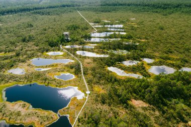 Viru Bog, Estonya 'nın Lahemaa Ulusal Parkı' ndaki en ünlü bataklıklardan biri. Eşsiz sulak arazi ekosistemi çeşitli vahşi yaşamı destekler ve çeşitli eşsiz bitki ve hayvanlara ev sahipliği yapar..