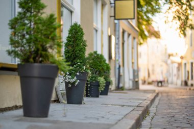 Tallinn Eski Kenti veya Tallinna Vanalinn 'in renkli ortaçağ sokakları UNESCO Dünya Mirasları Listesine dahil edildi.