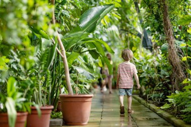 Estonya 'nın Tartu kentindeki botanik bahçesinde farklı tropikal bitki ve çiçek türlerini keşfeden küçük bir çocuk. Serada yetişen yemyeşil egzotik bitkiler..