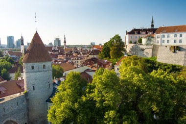 Güneşli bir yaz akşamında Tallinn Old Town ve Toompea Hill 'in ikonik gökyüzü manzarası. Stenbock Evi, Patkuli izleme platformu, savunma duvarları, çatılar. UNESCO Dünya Mirası sahası, Estonya