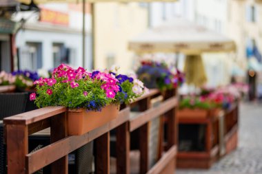 Tallinn Eski Kenti veya Tallinna Vanalinn 'in dar ortaçağ caddesinde çiçeklerle süslenmiş renkli eski binalar UNESCO Dünya Mirasları Listesine dahil edildi.