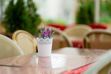 Dar bir ortaçağ sokağı olan Tallinn Eski Kenti veya Tallinna Vanalinn 'deki açık hava restoranları ve kafeler UNESCO Dünya Mirasları Listesine dahil edildi..