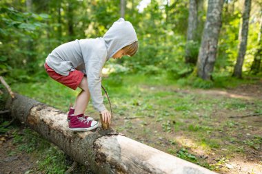Küçük çocuk, Estonya 'nın güzel çam ve yaprak döken ormanlarını keşfediyor. Baltık doğasının güzelliği.