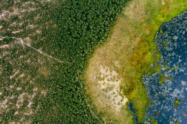 Estonya 'nın Jarva ilçesinde yer alan çam ağaçları, çukurlar ve havuzlarla kaplı Seli Bataklığı' nın hava manzarası. Eşsiz sulak arazi ekosistemi çeşitli vahşi yaşamı destekler ve eşsiz bitki ve hayvanlara ev sahipliği yapar..