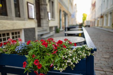 Dar bir ortaçağ sokağı olan Tallinn Eski Kenti veya Tallinna Vanalinn 'deki açık hava restoranları ve kafeler UNESCO Dünya Mirasları Listesine dahil edildi..