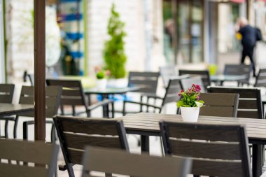 Dar bir ortaçağ sokağı olan Tallinn Eski Kenti veya Tallinna Vanalinn 'deki açık hava restoranları ve kafeler UNESCO Dünya Mirasları Listesine dahil edildi..
