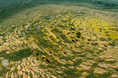 Estonya 'nın Jarva ilçesinde yer alan çam ağaçları, çukurlar ve havuzlarla kaplı Seli Bataklığı' nın hava manzarası. Eşsiz sulak arazi ekosistemi çeşitli vahşi yaşamı destekler ve eşsiz bitki ve hayvanlara ev sahipliği yapar..