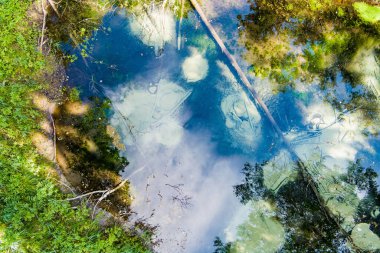 Saula Blue Springs ya da Saula Siniallikad, doğal ve kültürel miras alanı. İyileştirici gücü olan mavi rengin kurban baharı olduğuna inanılıyor. Saula köyü, Kose bölgesi, Harju ilçesi, Estonya.