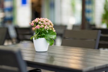 Dar bir ortaçağ sokağı olan Tallinn Eski Kenti veya Tallinna Vanalinn 'deki açık hava restoranları ve kafeler UNESCO Dünya Mirasları Listesine dahil edildi..