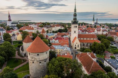 Güneşli bir yaz sabahında Tallinn Eski Kasabası 'nın ikonik gökyüzü manzarası. St. Olaf Kilisesi, St. Michael Kilisesi, Alexander Nevsky Katedrali, savunma duvarları, çatılar. UNESCO Dünya Mirası sahası, Estonya