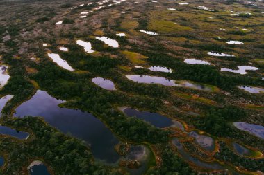 Estonya 'nın Jarva ilçesinde yer alan çam ağaçları, çukurlar ve havuzlarla kaplı Seli Bataklığı' nın hava manzarası. Eşsiz sulak arazi ekosistemi çeşitli vahşi yaşamı destekler ve eşsiz bitki ve hayvanlara ev sahipliği yapar..