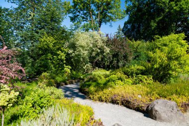 Tartu, Estonya 'nın botanik bahçesindeki farklı bitki ve çiçek türleri.