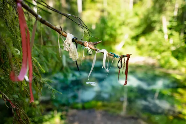 Stock image Many various ribbons tied for a good luck to a trees near Saula Blue Springs or Saula Siniallikad, natural and cultural heritage site. Saula village, Kose parish, Harju County, Estonia.