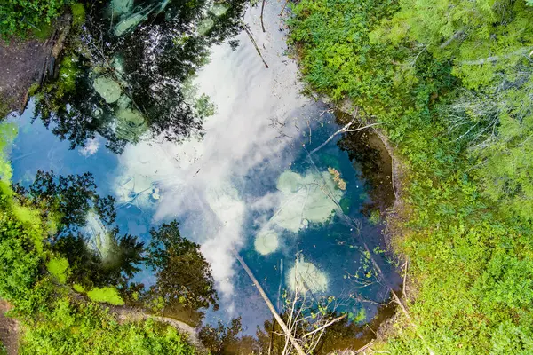 Saula Blue Springs ya da Saula Siniallikad, doğal ve kültürel miras alanı. İyileştirici gücü olan mavi rengin kurban baharı olduğuna inanılıyor. Saula köyü, Kose bölgesi, Harju ilçesi, Estonya.