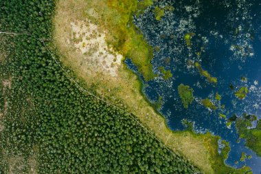 Aerial view of Seli Bog, dotted with pine trees, hollows and pools, located in Jarva county, Estonia. Unique wetland ecosystem supports diverse wildlife and is a home to unique plants and animals. clipart